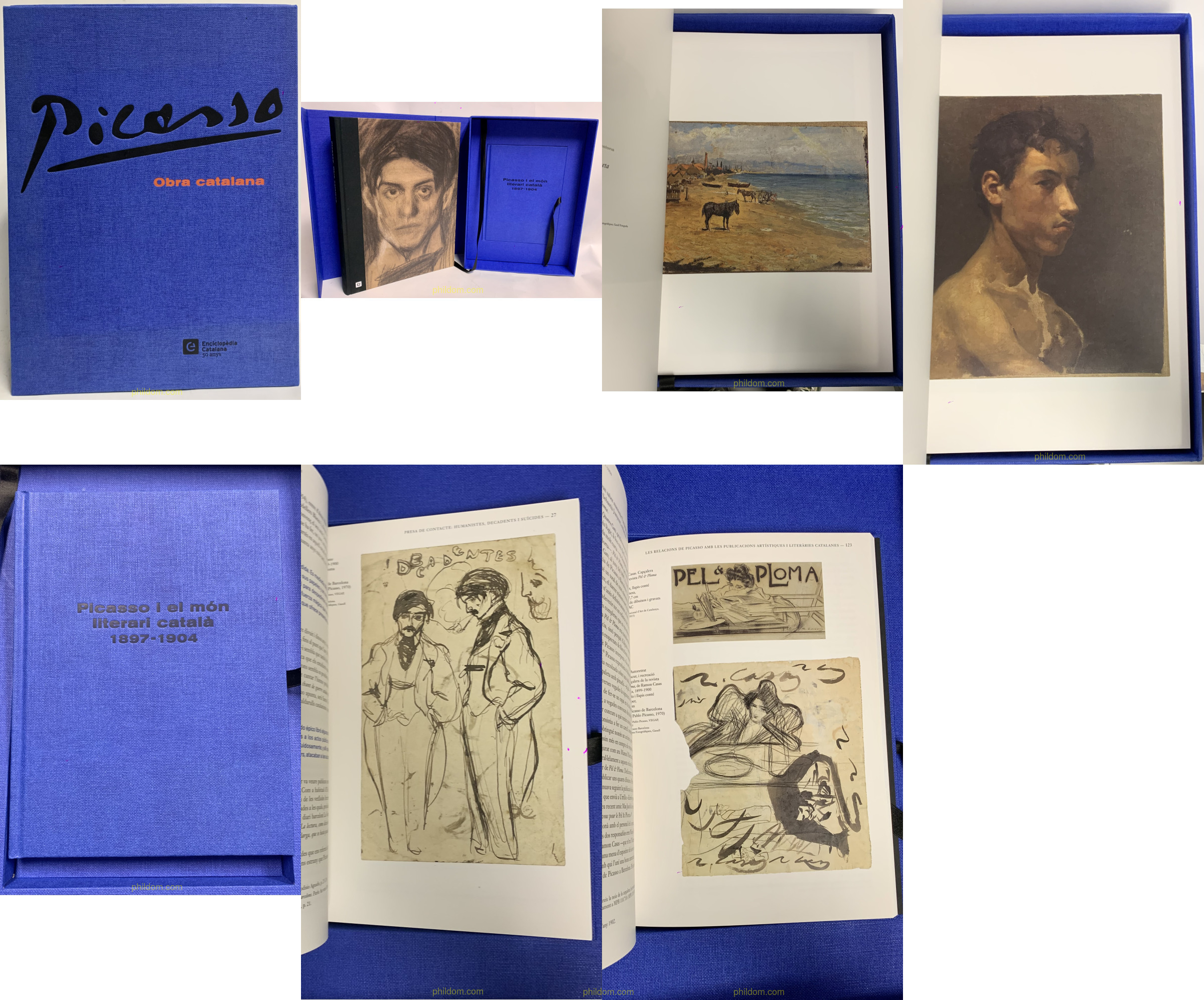 PICASSO, OBRA CATALANA